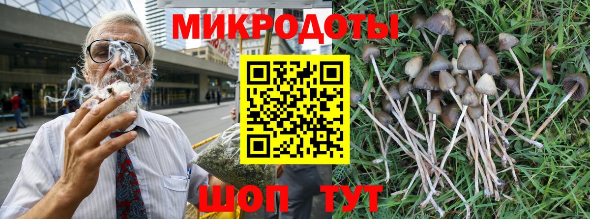 Псилоцибиновые грибы GOLDEN TEACHER Рузаевка