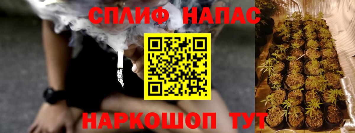 МАРИХУАНА гибрид Рузаевка